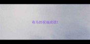 有马的祝福成语