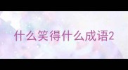 什么笑得什么成语