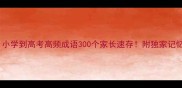 必考小学到高考高频成语300个家长速存附独家记忆口诀