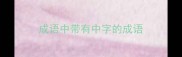 成语中带有中字的成语