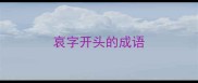 哀字开头的成语
