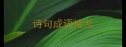 诗句成语接龙