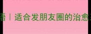 30个天天开心的正能量成语适合发朋友圈的治愈系句子瞬间提升幸福感