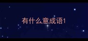 有什么意成语