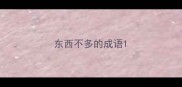 东西不多的成语
