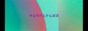什么可什么什么成语
