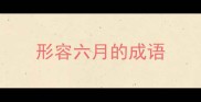 形容六月的成语