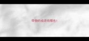 带物的成语有哪些