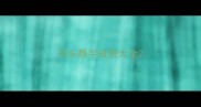 开头静字成语大全