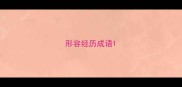 形容经历成语