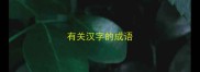 有关汉字的成语