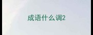 成语什么调