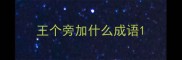 王个旁加什么成语