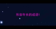 形容年长的成语