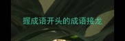 握成语开头的成语接龙