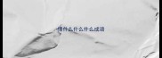 情什么什么什么成语
