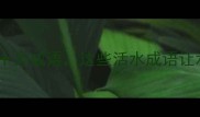 净水器养护十大成语这些活水成语让水质更清