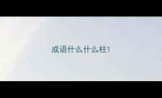 成语什么什么柱