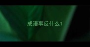 成语事反什么