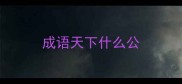 成语天下什么公
