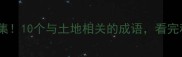 土字旁的成语合集10个与土地相关的成语看完秒变文化小达人