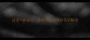 成语中的关字承载千年智慧的密码解读