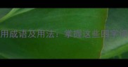 用字开头的常用成语及用法掌握这些四字词语提升表达力