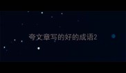 夸文章写的好的成语