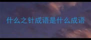 什么之针成语是什么成语