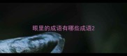 眼里的成语有哪些成语