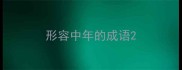 形容中年的成语