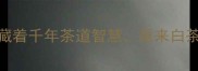白茶冷知识这些成语藏着千年茶道智慧原来白茶才是冰心玉壶的鼻祖