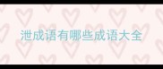 泄成语有哪些成语大全