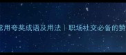 20个最常用夸奖成语及用法职场社交必备的赞美艺术