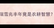 雪字开头的成语天花板瑞雪兆丰年竟是农耕智慧手把手教你玩转节气文化