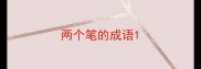 两个笔的成语