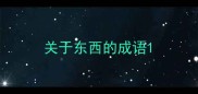 关于东西的成语
