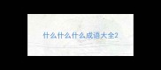 什么什么什么成语大全