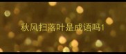 秋风扫落叶是成语吗