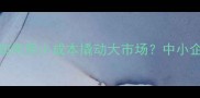 牛刀小试如何用小成本撬动大市场中小企业破局之道
