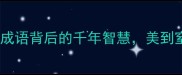 亭亭玉立绝美成语背后的千年智慧美到窒息的东方美学