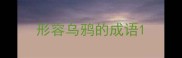 形容乌鸦的成语