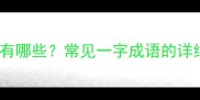 包含一的成语有哪些常见一字成语的详细与用法指南