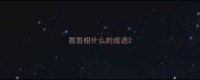 面面相什么的成语