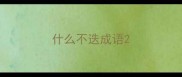 什么不迭成语