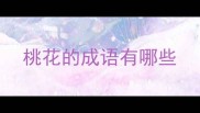 桃花的成语有哪些