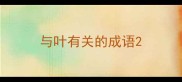 与叶有关的成语