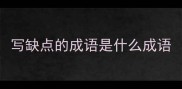 写缺点的成语是什么成语
