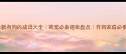 最新有狗的成语大全萌宠必备趣味盘点养狗家庭必看
