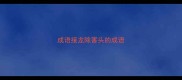 成语接龙除害头的成语